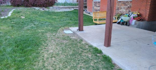 Blackbear Sprinkler Repair