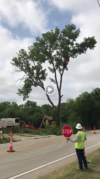 Southwest Tree Service