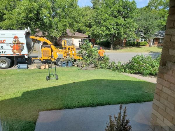 Southwest Tree Service
