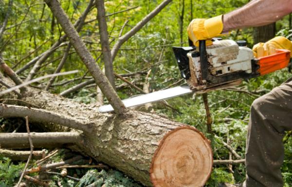 Agri-Con Tree Care Professionals
