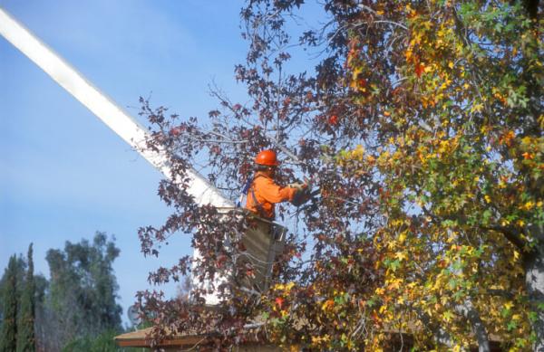 Agri-Con Tree Care Professionals