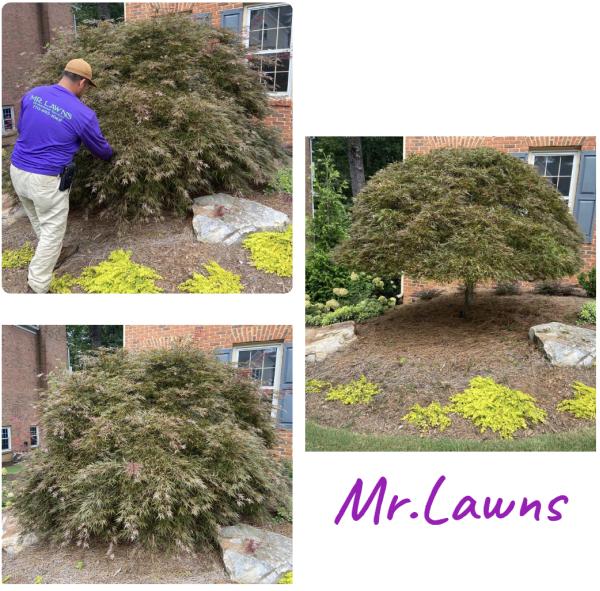 MR. Lawns Llc.