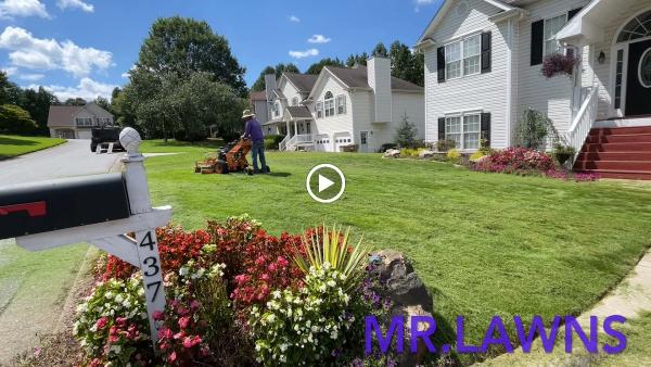 MR. Lawns Llc.