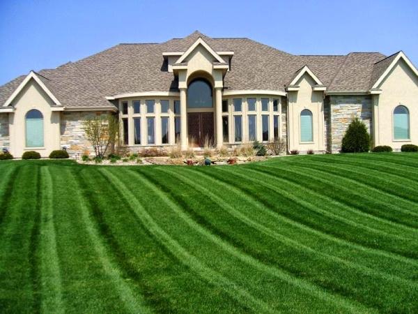 Bruce Landscaping & Maintenance