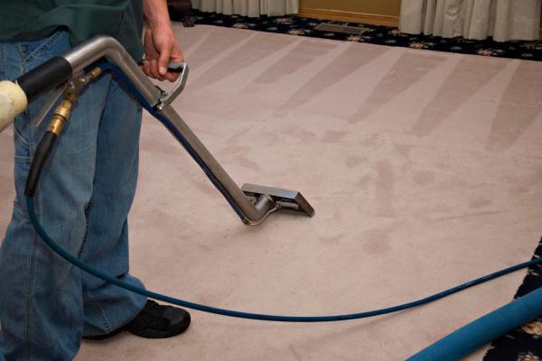 Magnolia Carpet Cleaning