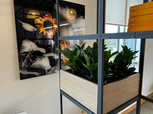 Plantscape Designs Inc
