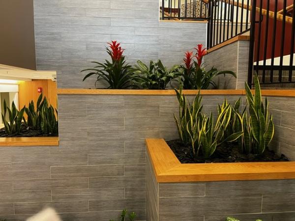 Plantscape Designs Inc