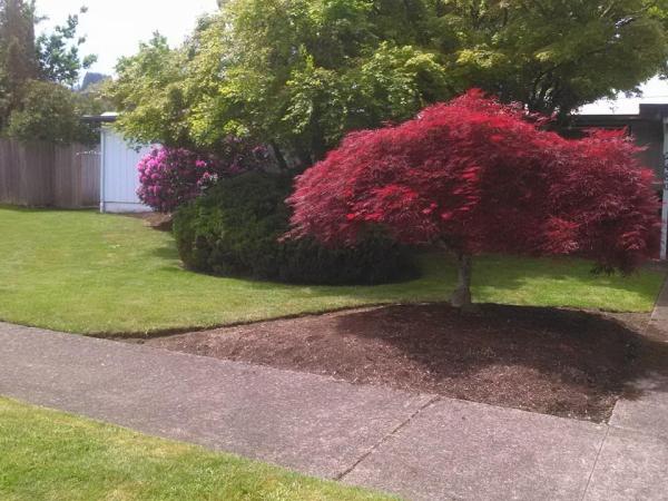 Peachy Property Care / Rising Sun Landscaping