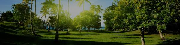 Arbor Tech Tree Care