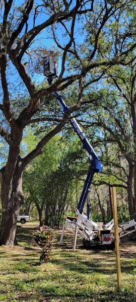 Arbor Tech Tree Care