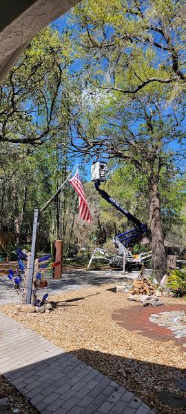 Arbor Tech Tree Care