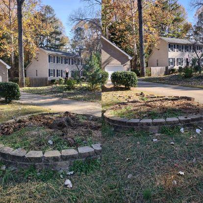 Morgan's Stump Removal