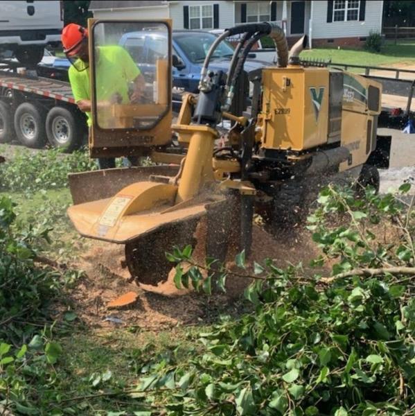 Morgan's Stump Removal