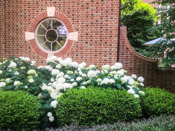 Ann P. Stokes Landscape Architects