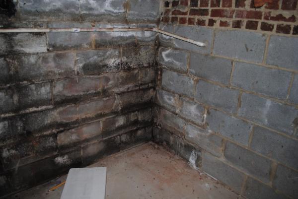 Crawl Space & Basement Technologies