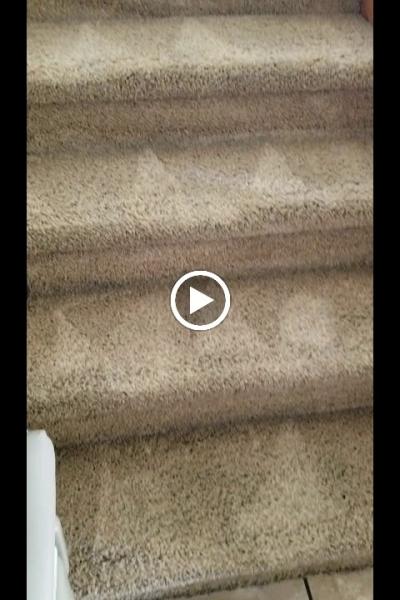 Fresh Step Carpet Cleaning