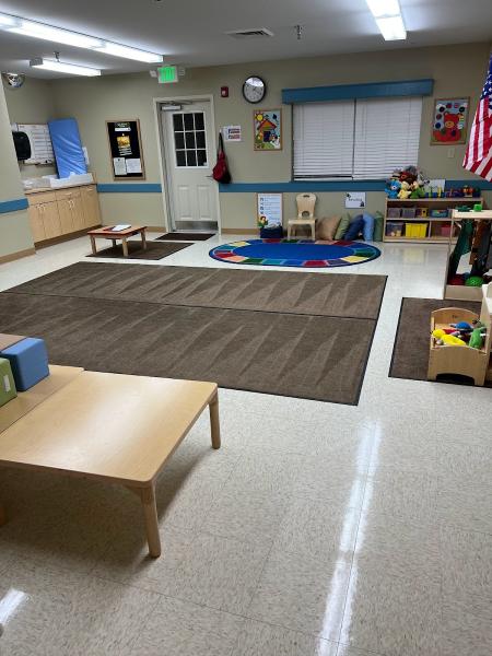 Blue Star Commercial Cleaning LLC