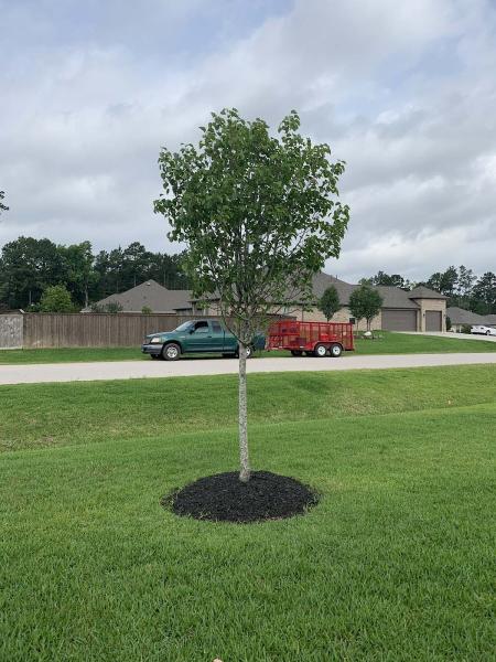 Topknotch Tree Service