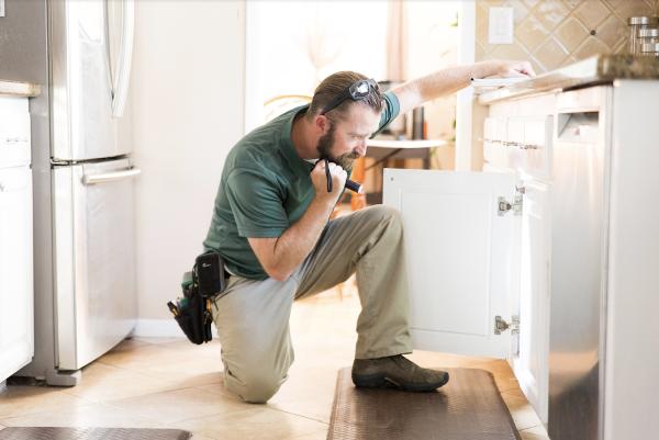 Larocca Inspections