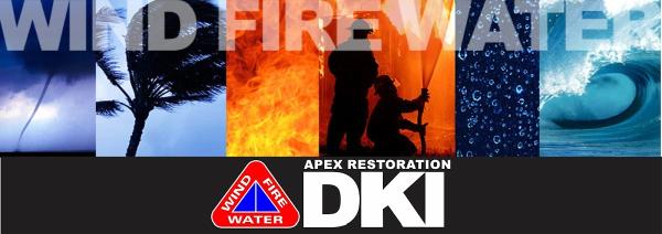Apex Restoration Dki- Memphis