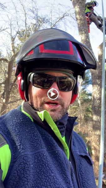 Specialized Rigging & Tree Care