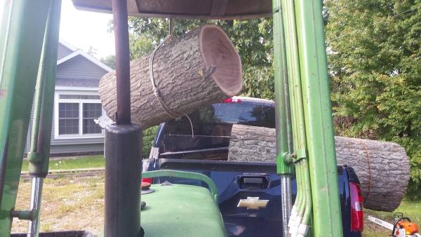 Abel Tree Service and Snowplowing