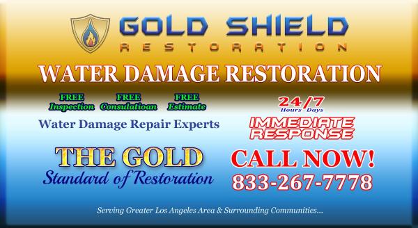 Gold Shield Restoration