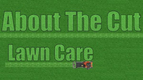 All About the Cut