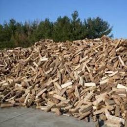 Mid State Tree Service LLC