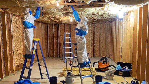Mold Experts