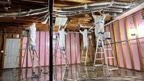 Mold Experts