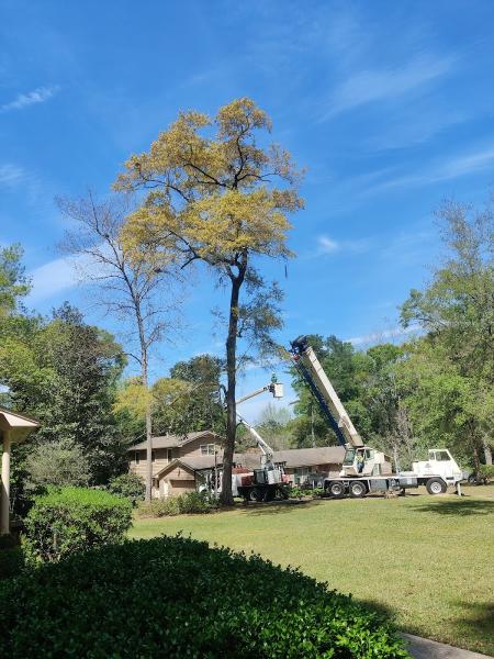 Cricket's Tree Service