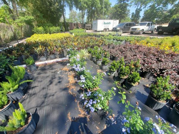 Roedell's Landscaping