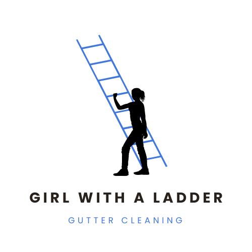 Girl With a Ladder Gutter and Window Cleaning
