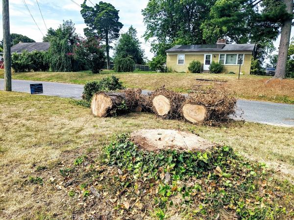 Greg Smith Tree Service LLC