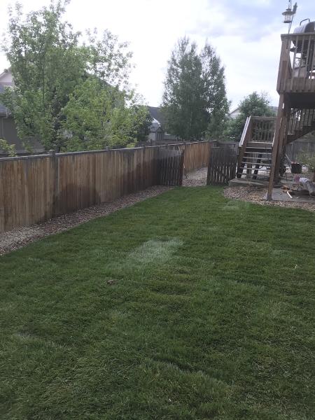 Aggie Lawn Care