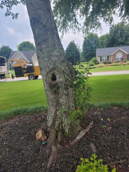 Gordon Pro Tree Service