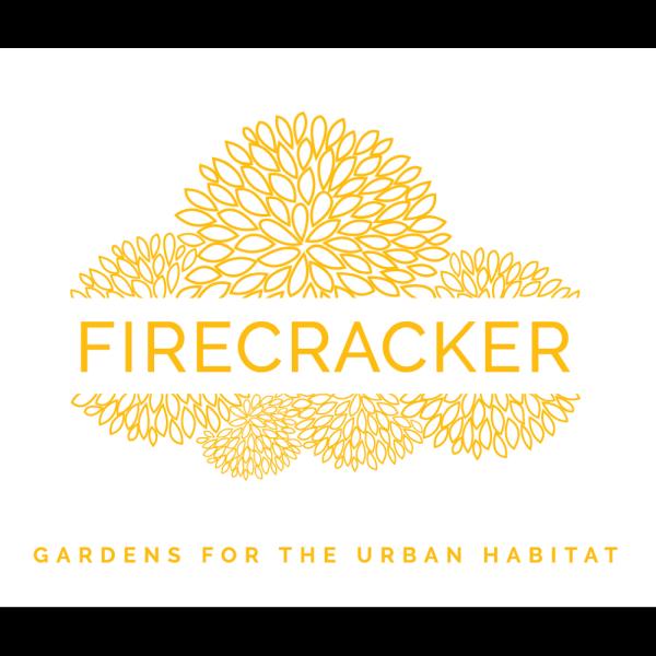 Firecracker LLC