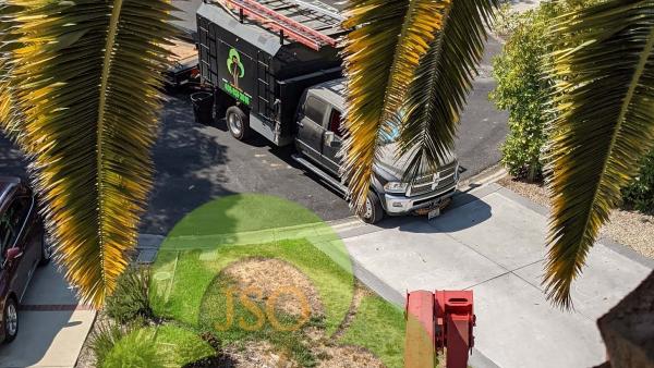 JSO Tree Service