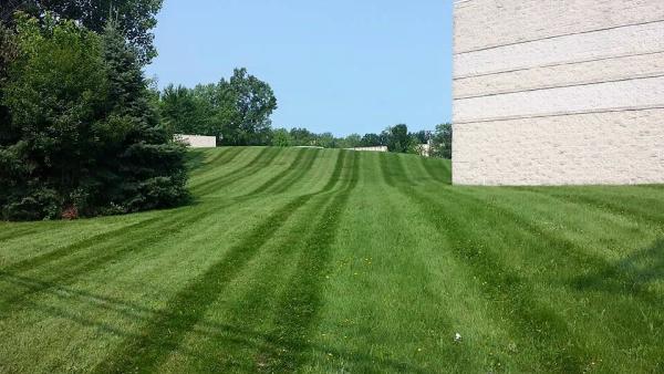 All Pro Landscaping & Snow Removal LLC