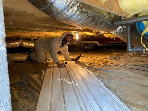 Lodestar Inspection Services