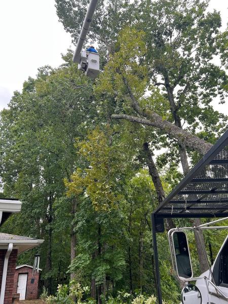 Doc's Tree Service LLC