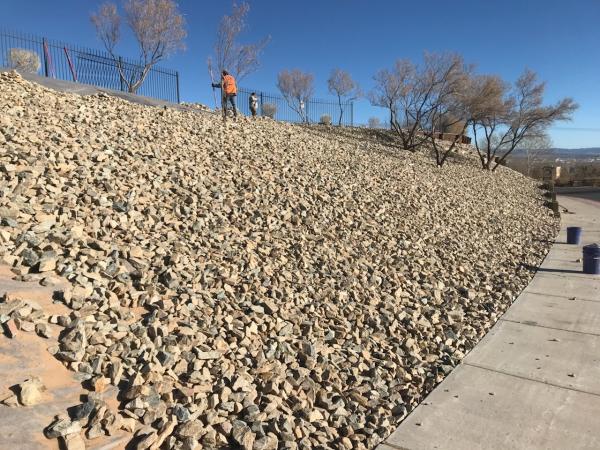 Diaz Landscaping Management