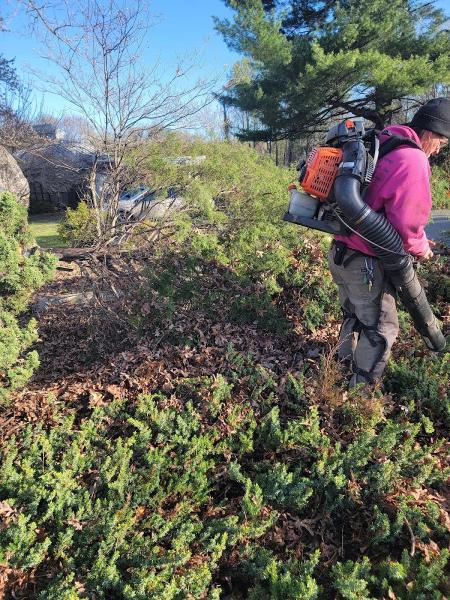 Lowery's Lawncare Services