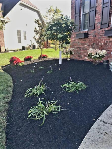 Molina Landscaping Inc