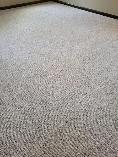 Turner's Carpet Cleaning