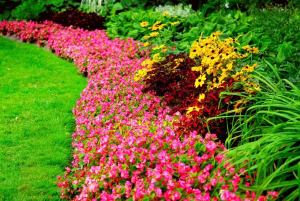 Lawn Express & Landscape LLC