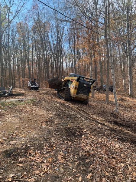 Keep It Clean Tree Service