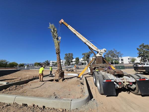 TC Tree Service LLC