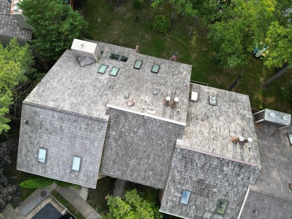 Reston Roof